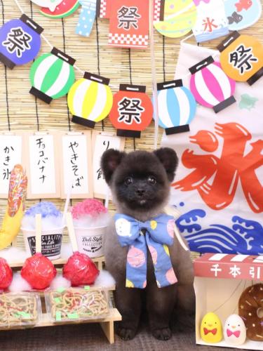 20240703まるくん